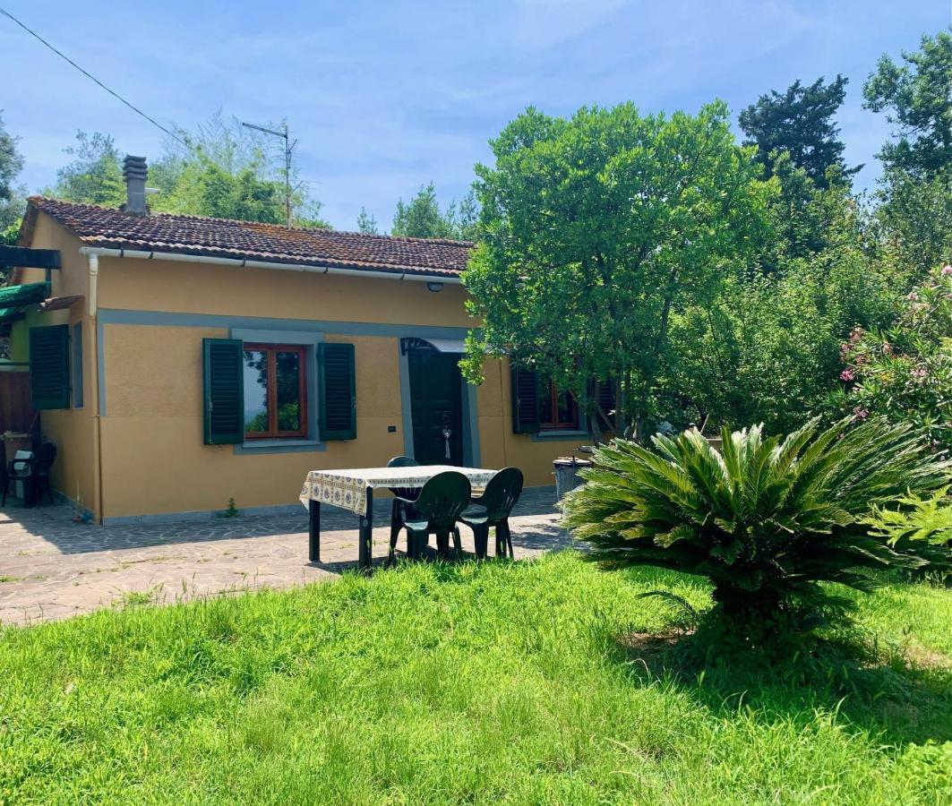 Villa Villino Dragonfly à Lastra a Signa Extérieur photo